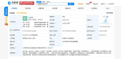 京東關聯電競公司戰略入股北京霓旌科技，業務版圖拓展至經濟信息咨詢新領域